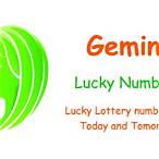 gemini lottery numbers